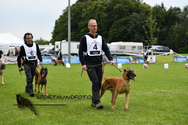 Impressionen 658.jpg